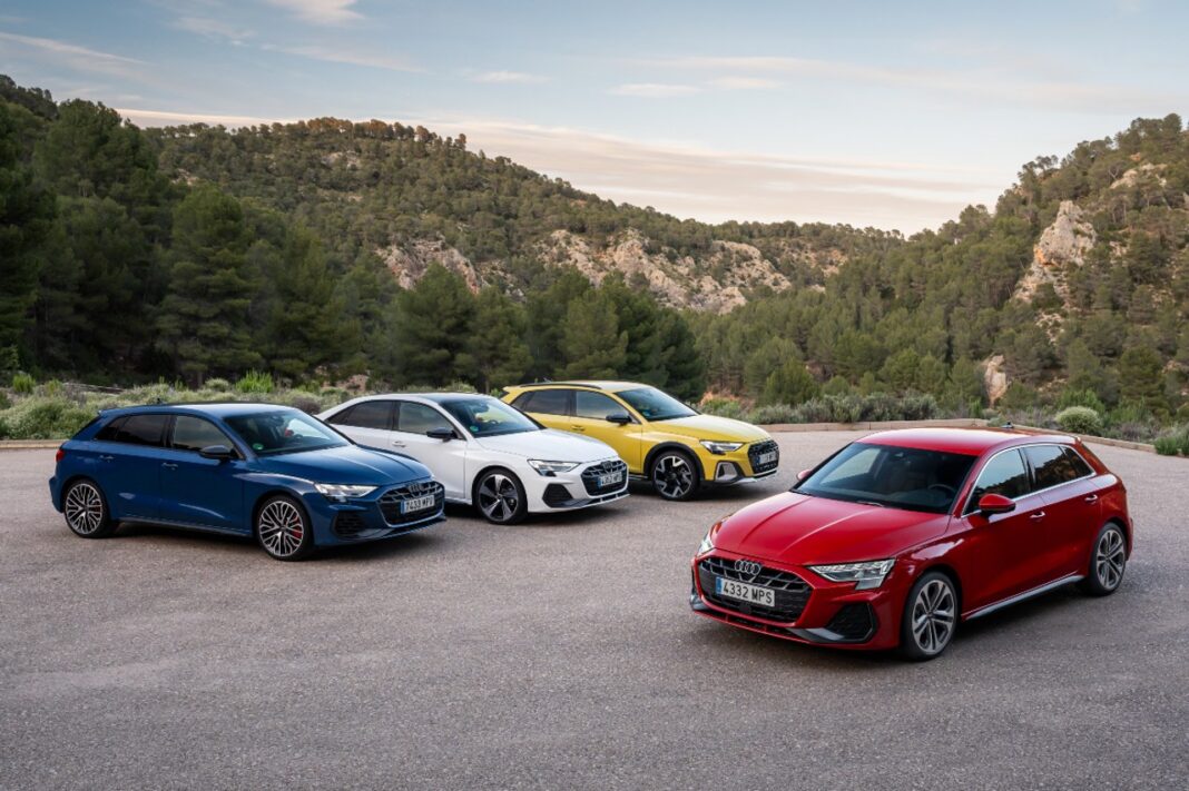 parrilla Audi A3 cromados