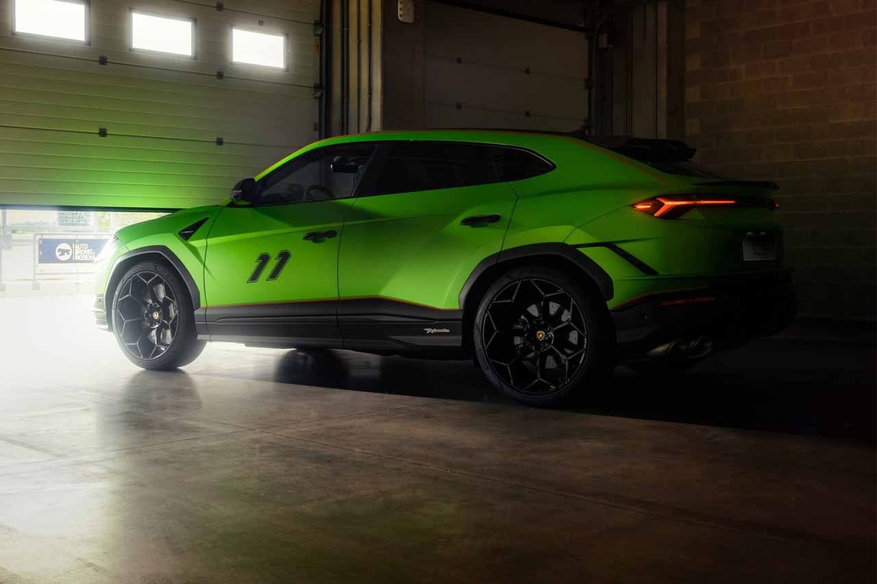 elementos opcionales caros 2024