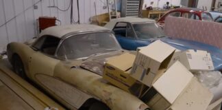 Aparece una colección de Corvette clásicos abandonados por valor de 800.000 dólares coleccion-corvette-abandonados