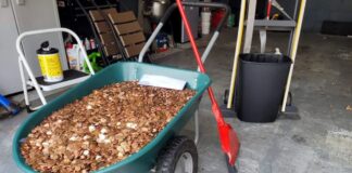 Su exjefe intenta pagarte la última nómina con 91.000 monedas cubiertas de aceite de motor, y es condenado 91-000-monedas-cubiertas-aceite-motor