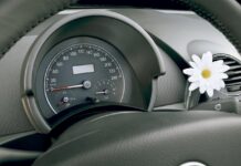 Es difícil de creer, pero este coche de los 2000 traía un florero en su salpicadero florero-volkswagen-new-beetle