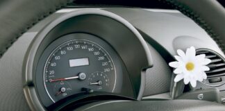 Es difícil de creer, pero este coche de los 2000 traía un florero en su salpicadero florero-volkswagen-new-beetle