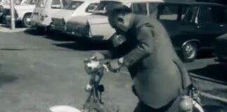 Hace más de 50 años se inventó el disparate del motor que funcionaba con agua motor-funcionaba-con-agua