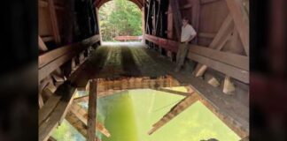 Un puente cede ante el peso de un Ford F-750 cargado con grava molida puente-cede-ford-f-750-cargado