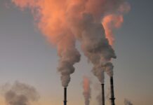 Demostrada la relación entre la contaminación y un mayor consumo de antibióticos relacion-contaminacion-mayor-consumo-antibioticos