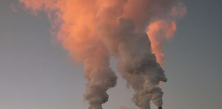 Demostrada la relación entre la contaminación y un mayor consumo de antibióticos relacion-contaminacion-mayor-consumo-antibioticos