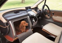 El Jaecoo 5 es un coche 'Pet Friendly', pero Honda se adelantó a su tiempo presentando hace 20 años uno perfecto para transportar mascotas Honda WOW, el coche Pet Friendly