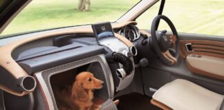 El Jaecoo 5 es un coche 'Pet Friendly', pero Honda se adelantó a su tiempo presentando hace 20 años uno perfecto para transportar mascotas Honda WOW, el coche Pet Friendly