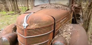 Un hombre compra una granja abandonada y descubre una impresionante colección de coches clásicos olvidados colección de coches clásicos olvidados
