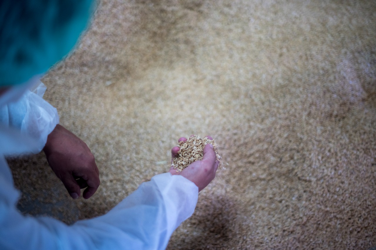 seat-arona-piezas-hechas-con-arroz