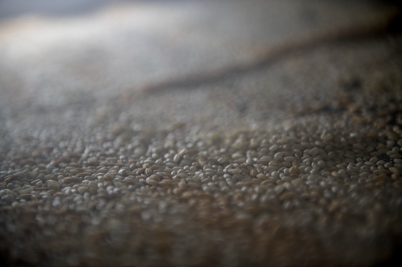 seat-arona-piezas-hechas-con-arroz