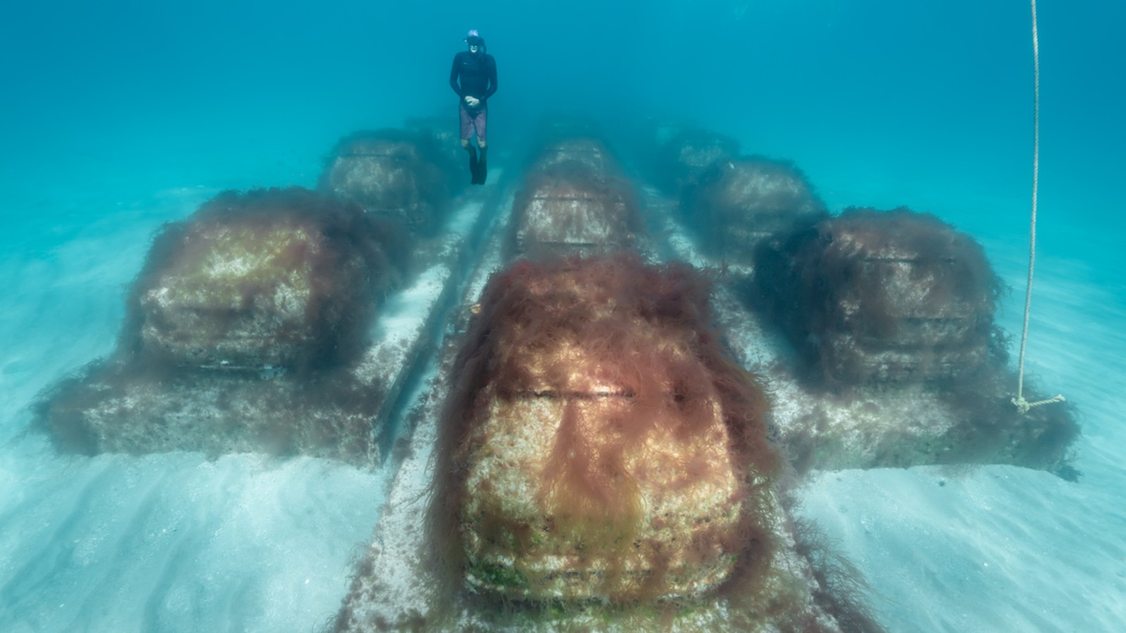 Coches sumergidos mar Miami Beach