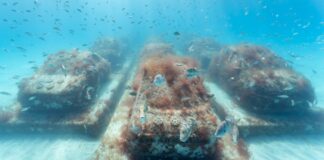 Una artista sumerge 20 coches en el mar para recuperar la fauna de Miami Beach Coches sumergidos mar Miami Beach