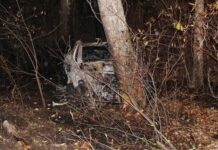 Muere el conductor de un Tesla Model Y tras sufrir un accidente y quedar atrapado dentro del coche en llamas por no poder abrir las puertas: “No puedo salir, por favor ayúdame”