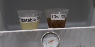 Prueban a usar aceite vegetal como sustituto del aceite de motor y el resultado es sorprendente Aceite vegetal motor