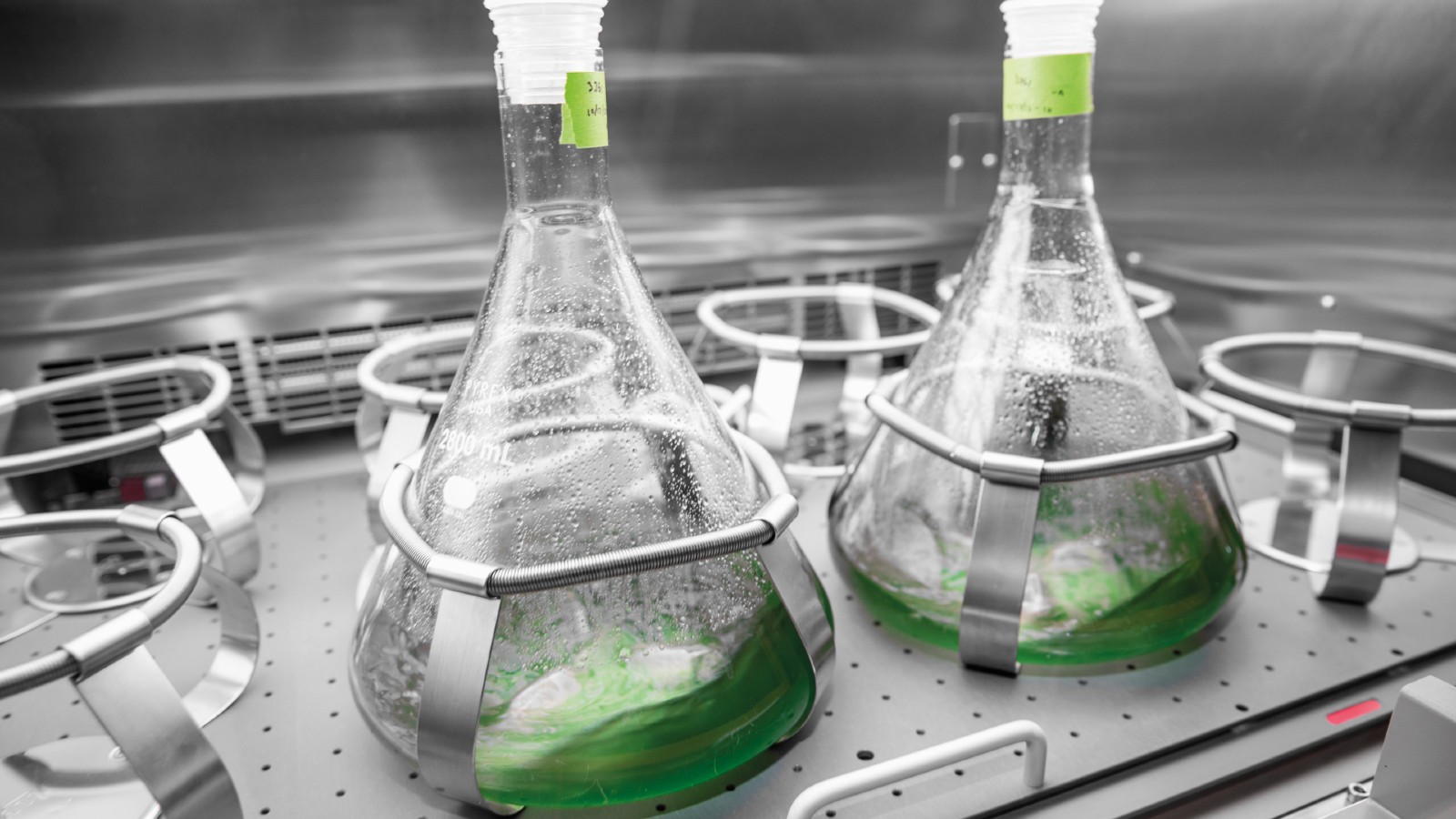 Combustibles sintéticos