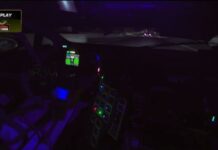 Un Ford Mustang GT3 choca con un canguro a 250 km/h en las 12 Horas de Bathurst: “Fue un impacto enorme y, cuando vi el canguro, fue el momento del golpe” Ford Mustang GT3 choca con canguro