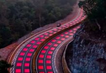 Carreteras pintadas de rojo, las nuevas señales en este país asiático para proteger a los animales Carreteras pintadas de rojo