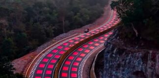 Carreteras pintadas de rojo, las nuevas señales en este país asiático para proteger a los animales Carreteras pintadas de rojo