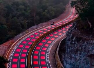 Carreteras pintadas de rojo, las nuevas señales en este país asiático para proteger a los animales Carreteras pintadas de rojo