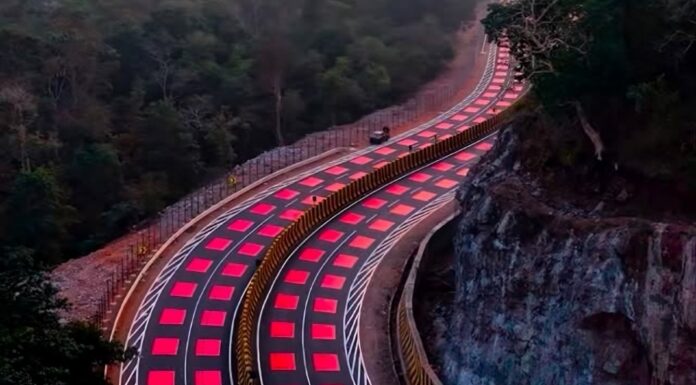 Carreteras pintadas de rojo, las nuevas señales en este país asiático para proteger a los animales Carreteras pintadas de rojo