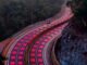 Carreteras pintadas de rojo, las nuevas señales en este país asiático para proteger a los animales Carreteras pintadas de rojo