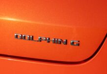 El curioso origen del nombre del BYD Dolphin G DM-i Origen del BYD Dolphin G DM-i