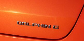 El curioso origen del nombre del BYD Dolphin G DM-i Origen del BYD Dolphin G DM-i