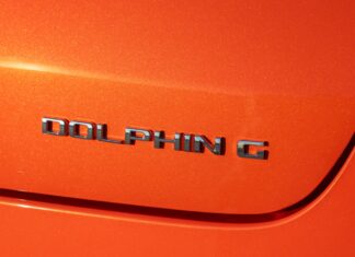El curioso origen del nombre del BYD Dolphin G DM-i Origen del BYD Dolphin G DM-i