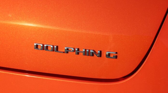 El curioso origen del nombre del BYD Dolphin G DM-i Origen del BYD Dolphin G DM-i