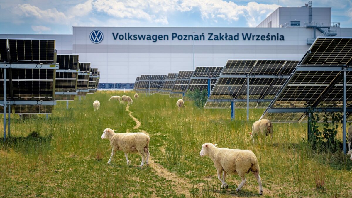 Volkswagen ovejas planta fotovoltaica